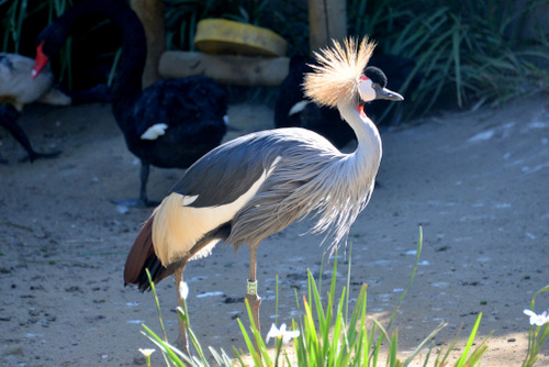 World of Birds Wildlife Sanctuary.